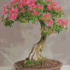 Cherry Blossom Bonsai Tree Diamond Painting