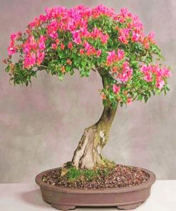 Cherry Blossom Bonsai Tree Diamond Painting