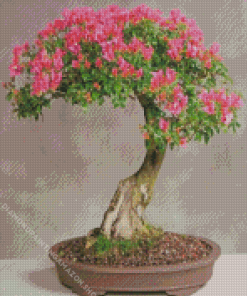 Cherry Blossom Bonsai Tree Diamond Painting