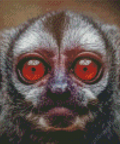 Gray Handed Night Monkey Diamond Painting