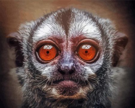 Gray Handed Night Monkey Diamond Painting