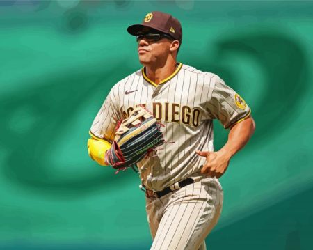 Cool Juan Soto Diamond Painting