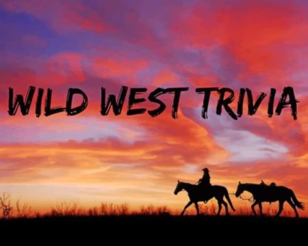 Cowboy Silhouette Diamond Painting