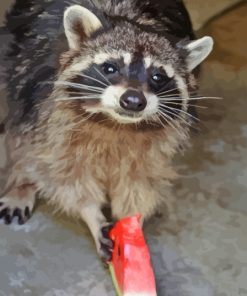 Cute Raccoon Eating Watermelon Diamond Painting