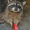 Cute Raccoon Eating Watermelon Diamond Painting