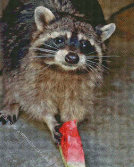 Cute Raccoon Eating Watermelon Diamond Painting