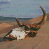 Desert Cow Head Skull Diamond Painting