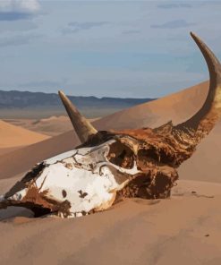 Desert Cow Head Skull Diamond Painting