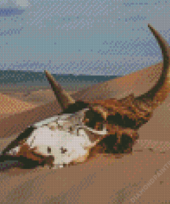 Desert Cow Head Skull Diamond Painting