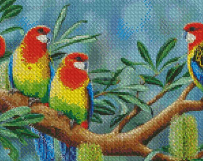 Eastern Rosella Art Diamond Painting