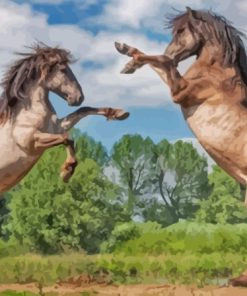 Fighting Horses Diamond Painting