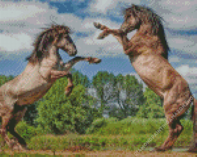 Fighting Horses Diamond Painting