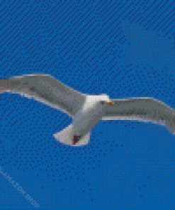 Flying Seagull Bird Diamond Painting