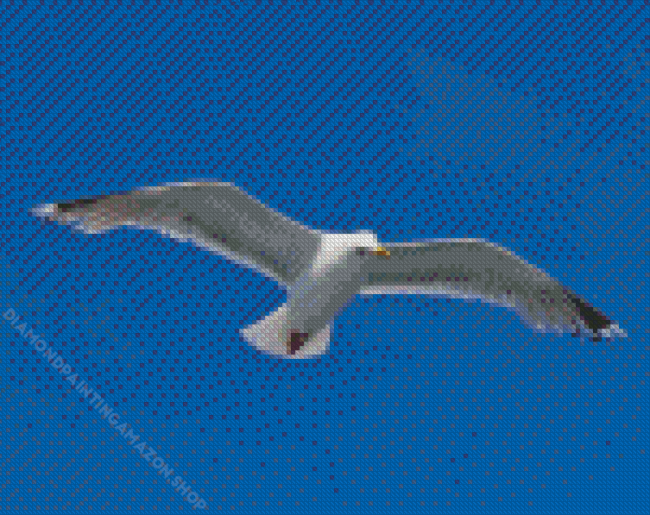 Flying Seagull Bird Diamond Painting