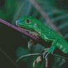 Green Lizard In Tree Branche Diamond Painting