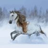 Horse Running In Snowy Forest Diamond Painting