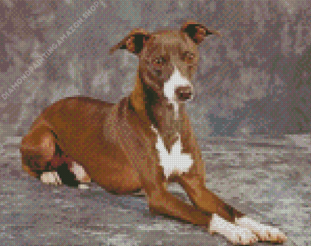 Italian Greyhound Dog Animal Diamond Painting