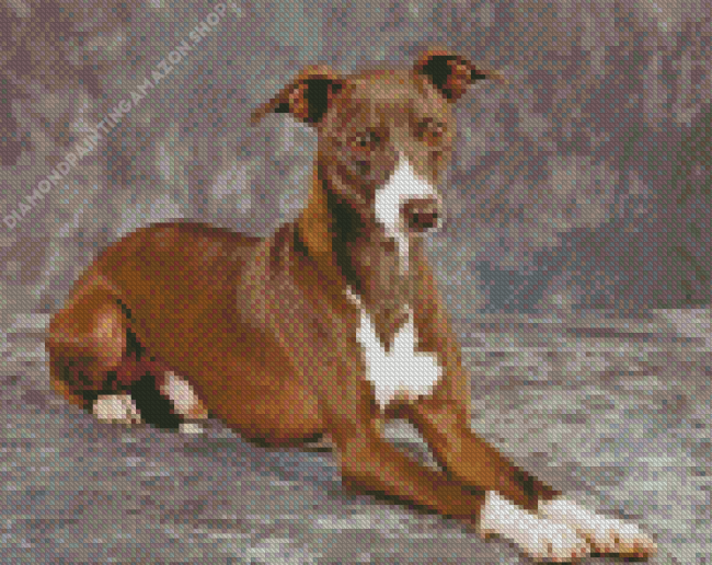 Italian Greyhound Dog Animal Diamond Painting