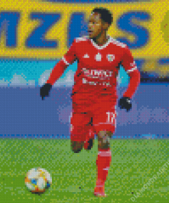 Joel Valencia Brentford Football Diamond Painting