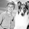 Jon Provost Lassie Diamond Painting