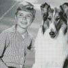 Jon Provost Lassie Diamond Painting