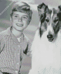 Jon Provost Lassie Diamond Painting