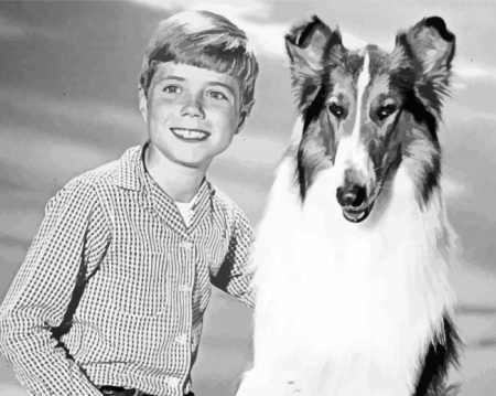 Jon Provost Lassie Diamond Painting