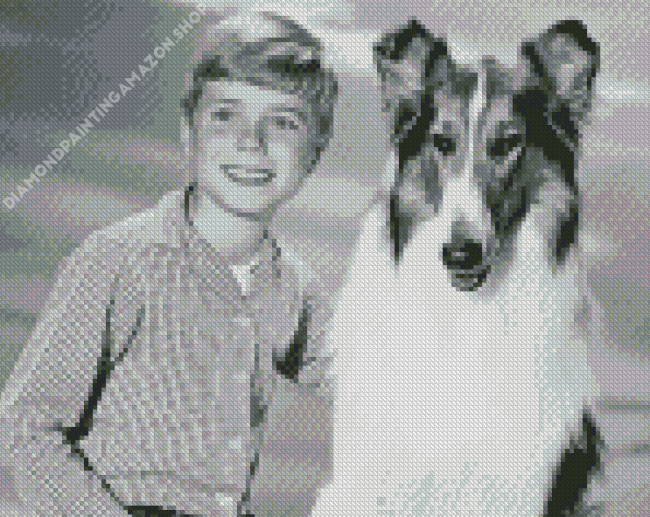 Jon Provost Lassie Diamond Painting