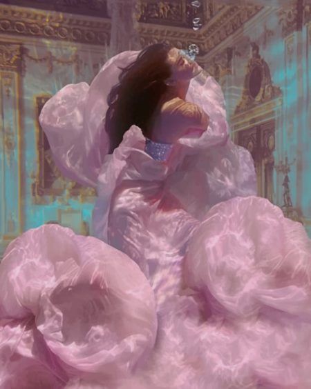 Lady With A Pink Dress Underwater Diamond Painting