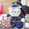 Mad Cute Cat In Police Clothing Diamond Painting