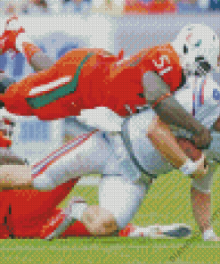 Florida Gators Vs Miami Hurricanes Diamond Painting