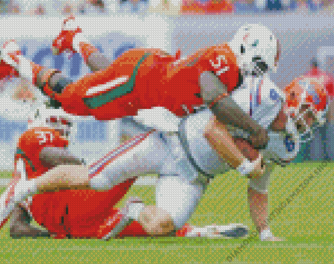 Florida Gators Vs Miami Hurricanes Diamond Painting