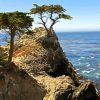 Monterey Trees Landscape Diamond Painting