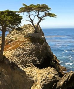 Monterey Trees Landscape Diamond Painting