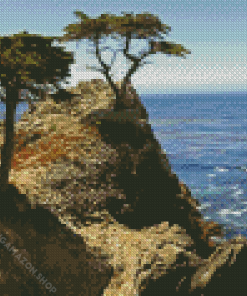 Monterey Trees Landscape Diamond Painting