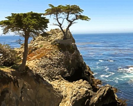 Monterey Trees Landscape Diamond Painting
