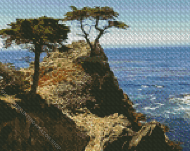 Monterey Trees Landscape Diamond Painting