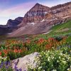 Mount Timpanogos With Wildflowers Diamond Painting