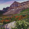 Mount Timpanogos With Wildflowers Diamond Painting