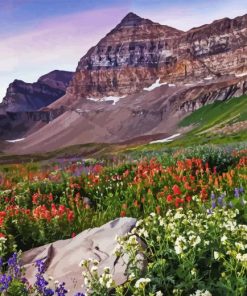 Mount Timpanogos With Wildflowers Diamond Painting