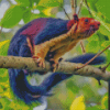 Multi Coloured Squirrel Diamond Painting