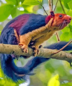 Multi Coloured Squirrel Diamond Painting