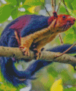 Multi Coloured Squirrel Diamond Painting