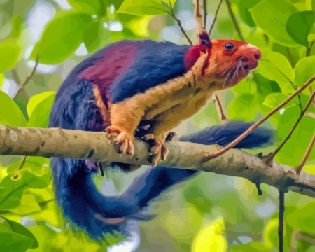 Multi Coloured Squirrel Diamond Painting