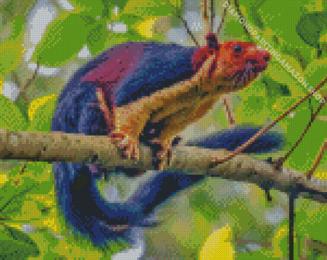 Multi Coloured Squirrel Diamond Painting