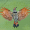 Northern Flicker woodpecker Diamond Painting