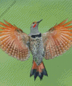 Northern Flicker woodpecker Diamond Painting