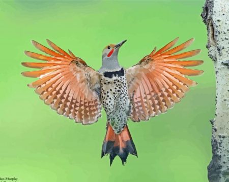 Northern Flicker woodpecker Diamond Painting