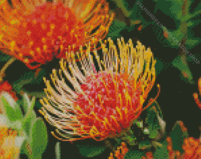 Orange Protea Flowers Diamond Painting