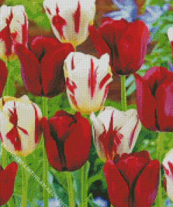 Red And White Flowers Diamond Painting